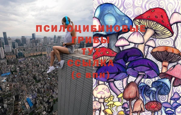 молекула духа Каменногорск