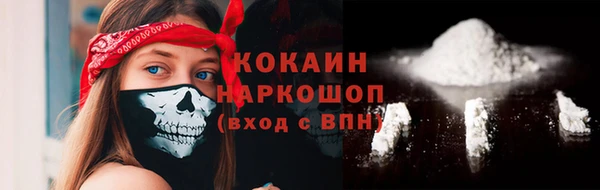 молекула духа Каменногорск