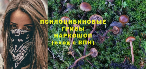 mdma Каменка