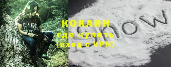 молекула духа Каменногорск