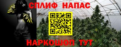 ALPHA PVP Малгобек