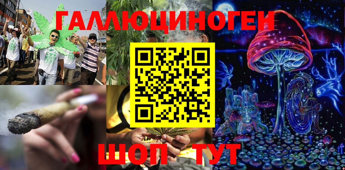 Псилоцибиновые грибы GOLDEN TEACHER  Псилоцибиновые грибы Cubensis  Вход с VPN  Клинцы 