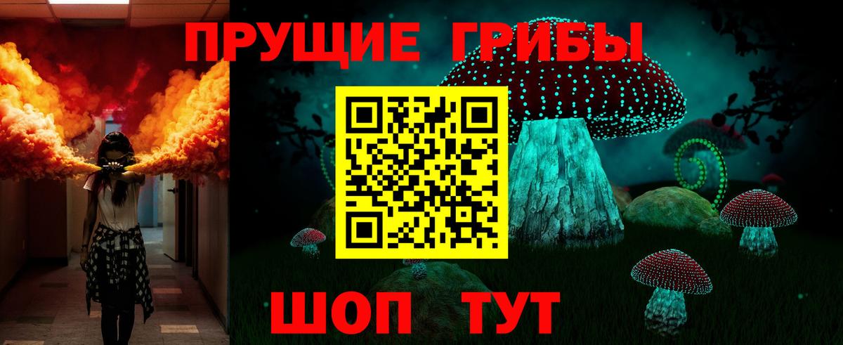 Галлюциногенные грибы Psilocybine cubensis Клинцы